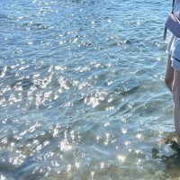 毎日暑い夏休み
