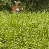 おはようございます。