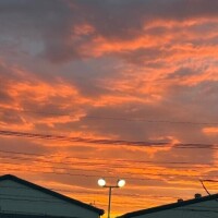 お礼が遅くなり申し訳ありません