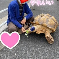 もんじゃ通りの亀さん