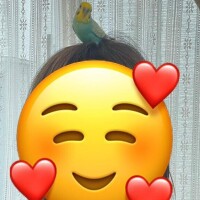 私がみたいのは...