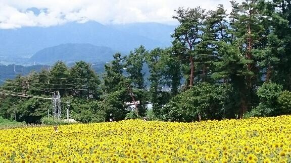 出勤致します