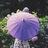 おはようございます?