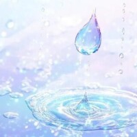 おはようございます?