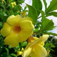 ご予約ありがとうございます