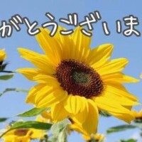 今日のお礼です
