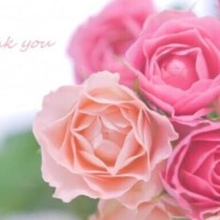 14日　Ｈ様☆