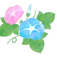 昼下がりの密会