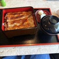 お久しぶりの日記