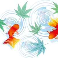 雨やどり 