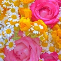 出勤しました