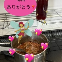 いただいた梅酢で