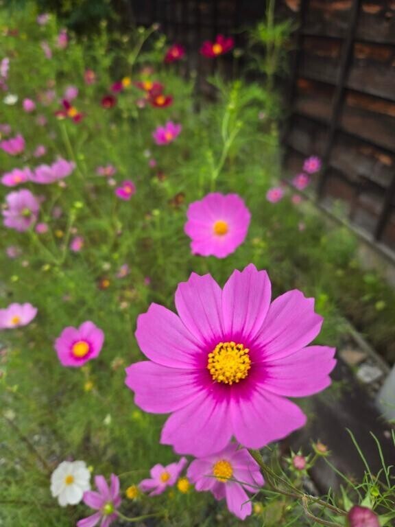 明日ご予約のT様