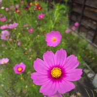 明日ご予約のT様