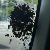運が良いね
