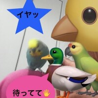 筋トレ仲間