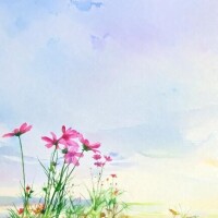 青空