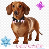 夜中なのに～～～?