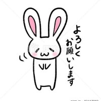 おはようございます(´∀｀*)