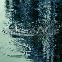 おはようございます^ ^