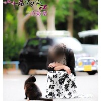 ◇雨の中の音とふわふわ♪◇【雑談】