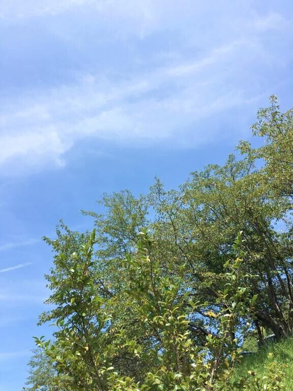 地元でひといき