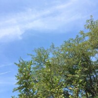 地元でひといき