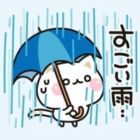 今日のお礼です