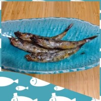 三日月美伽