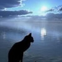 素敵な夢を☆☆☆♪