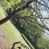 まさかの…９連休