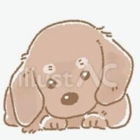 ☆お散歩日記☆