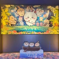 さぁ！はじまりだ！
