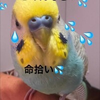 重い荷物を手放したら