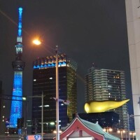 やっと晴れ