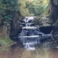 こんにちは??