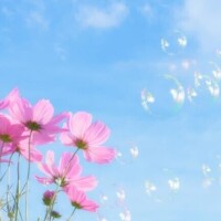 ちょっと暑い秋の日に、やすらぎを
