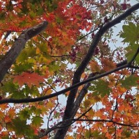 ご予約ありがとうございます