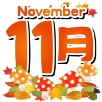 11月も宜しくお願いいたします♪