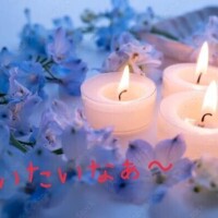 冨永叶恵