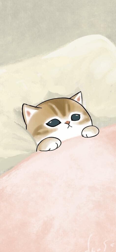 ?明日の夜?