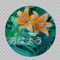 おはようございます