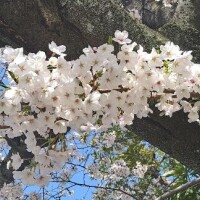 おはようございます??