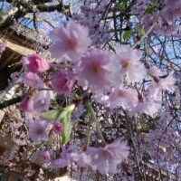 おはようございます