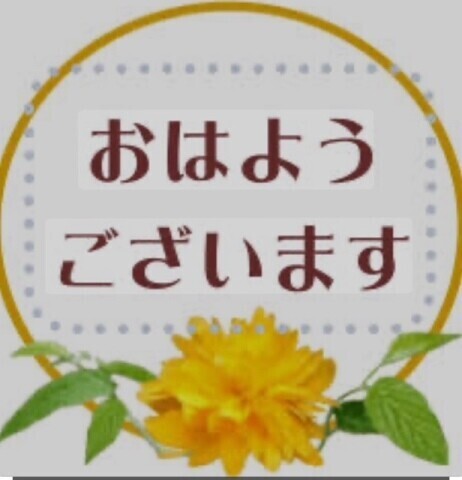 おはようございます