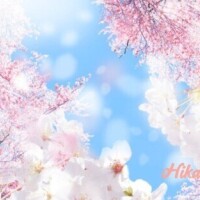 浅岡ひかり