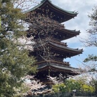 行って来ました！