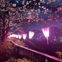 野暮用で