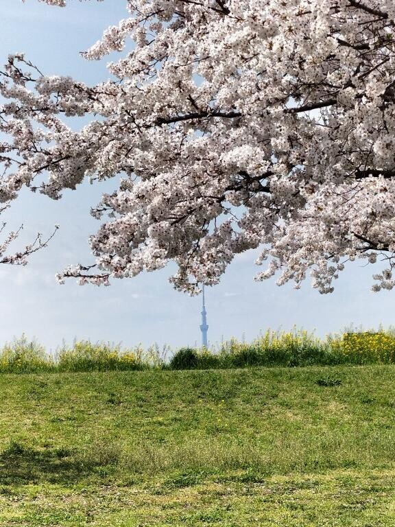 《ありがとうございました》