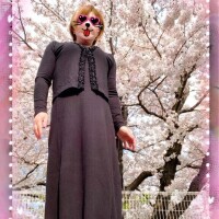 お花見
